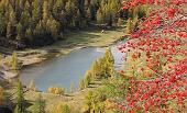 AUTUNNO SULL'ANELLO DEL RIFUGIO LONGO sabato 24 ottobre 2009 - FOTOGALLERY